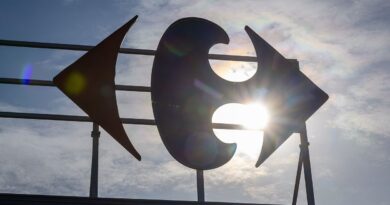 Rumeurs persistantes sur Carrefour en Belgique : ambiance compliquée dans les magasins.