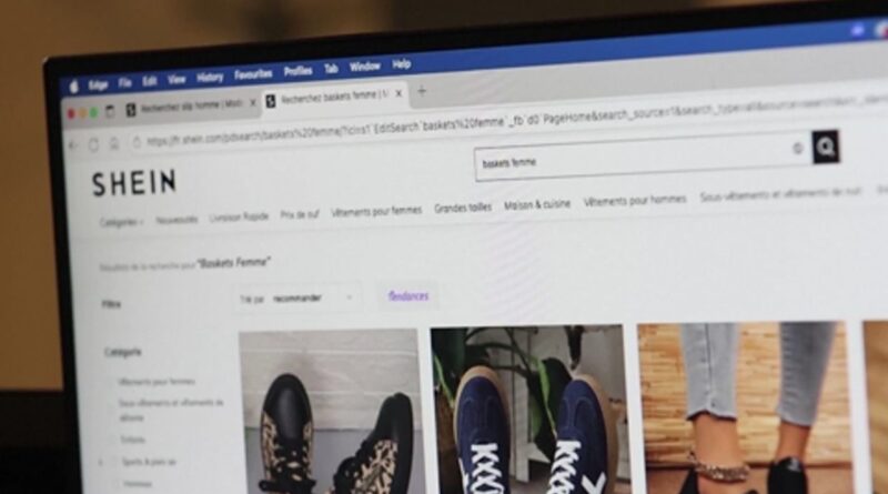 Shein et sa nouvelle taxe européenne : impact du hub en Pologne