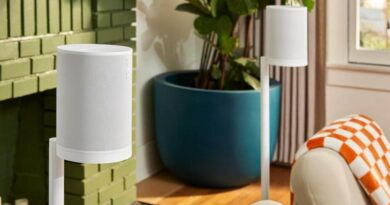 Sonos Era 100 SL : différences avec la Era 100.