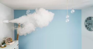 Télésurveillance ou IA : quel système choisir pour votre maison cet été ? [Sponso]