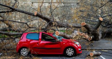 Tempêtes Nils et Pedro : plus d'un milliard d'euros de dégâts en France.