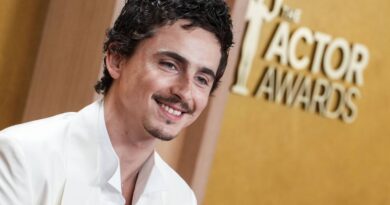 Timothée Chalamet suscite des réactions dans les opéras mondiaux