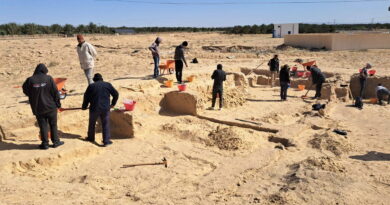Tozeur : un projet tuniso-italien relance les fouilles à Castilia