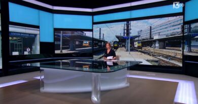 Trois colis suspects à Bruxelles Midi : 300 heures de retard.