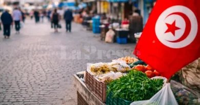 Tunisie : les membres du milieu commencent à tomber.