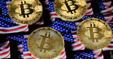 Un homme arrêté à Saint-Martin pour le vol de 46 millions de dollars en cryptomonnaie