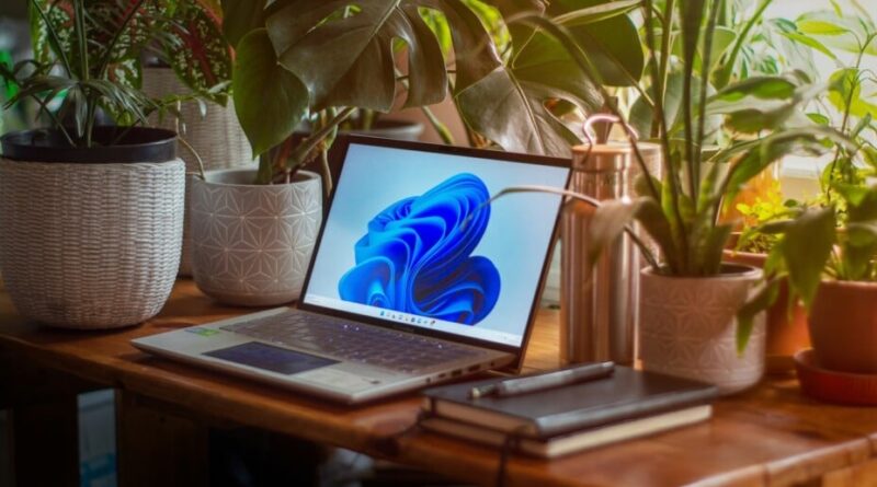 Windows 11 : nouveaux emojis et test de connexion disponibles pour tous