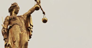 100.000 photos et vidéos : le « Pelicot Flamand » condamné à dix ans de prison pour 25 ans d’agressions