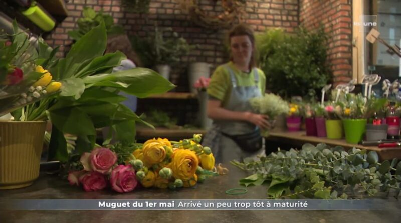 1er mai : origine de la fête des travailleurs et du travail