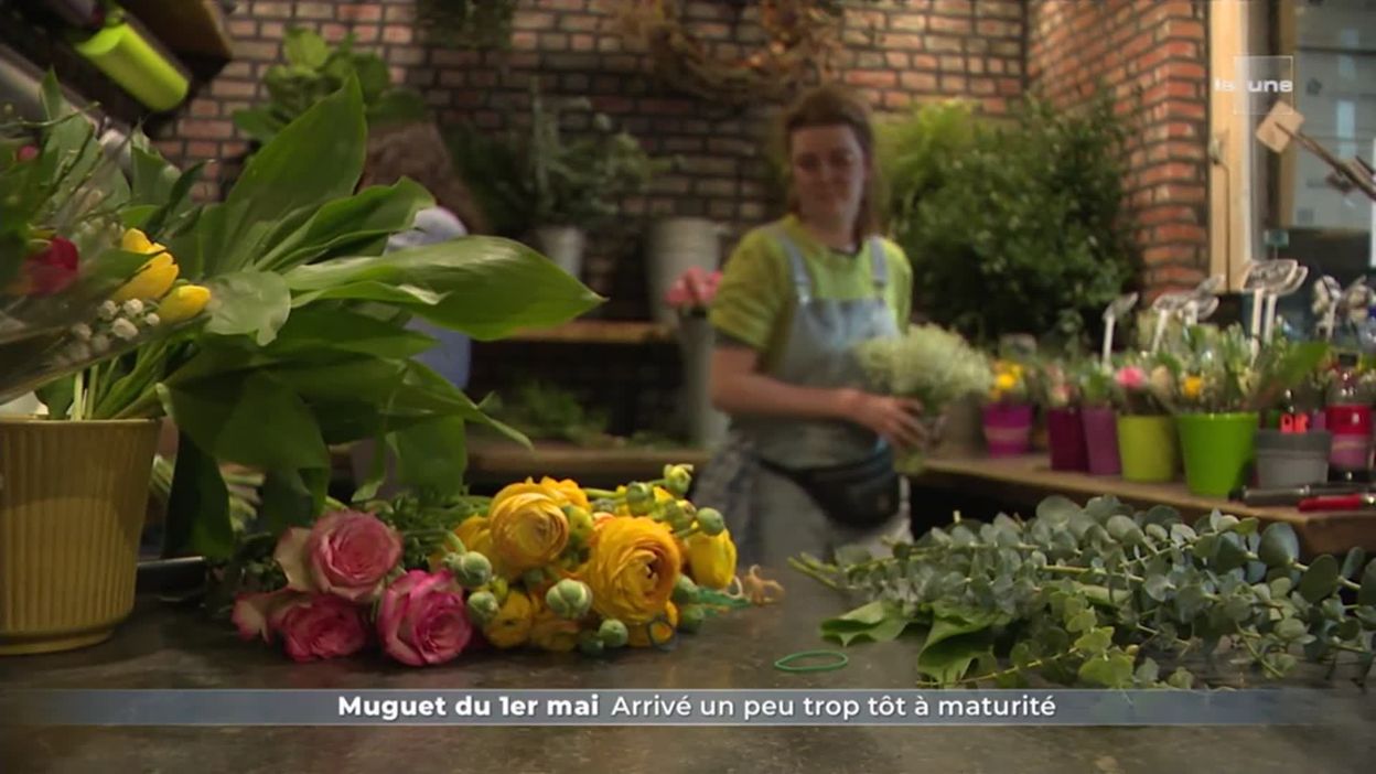 1er mai : origine de la fête des travailleurs et du travail
