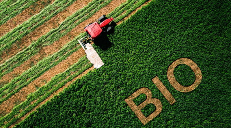 Agriculture biologique : Un modèle à ne pas négliger.