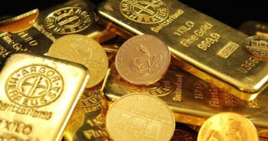 Allemagne : Un lingot d’or trouvé dans un coffre-fort à 15 euros
