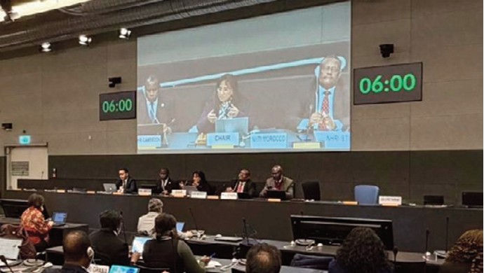 Amina Bouayach préside à Genève le groupe africain sur la migration.