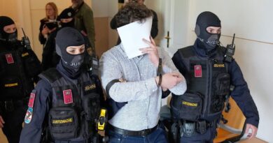 Attentat contre un concert de Taylor Swift : le suspect plaide coupable et avoue des liens avec Daesh