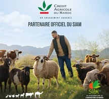 Au SIAM 2026, le Crédit Agricole du Maroc dévoile cinq partenariats stratégiques.