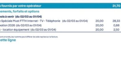 Bouygues Telecom : l'inflation ne fait pas grimper les factures Bbox