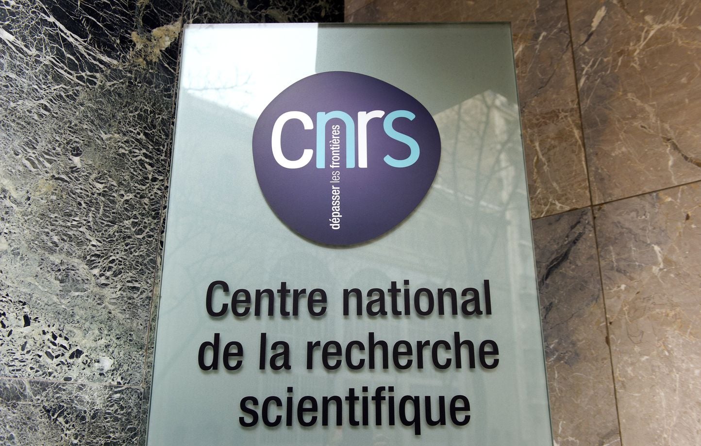 Cancer du pancréas : Des avancées pour l'espérance de vie après 40 ans