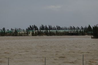 C’est exceptionnel : la tomate cerise française ne fait pas le poids face à la marocaine.