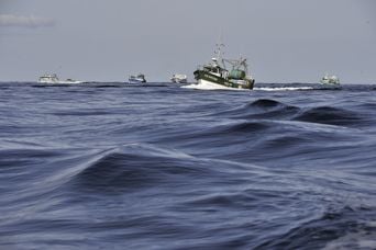 « Changement de méthodes de pêche : le corail breton en danger »