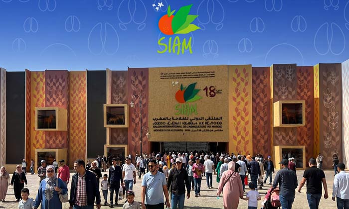 Coopération agricole maroco-portugaise : Un partenariat stratégique à fort potentiel