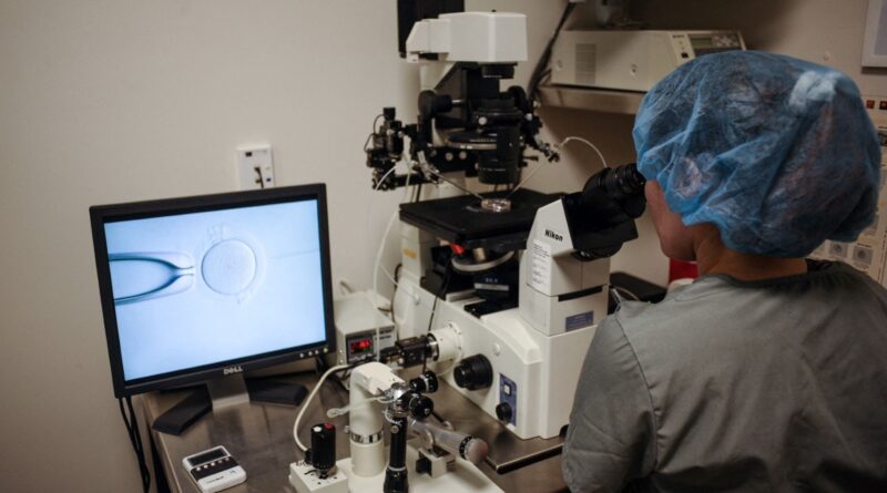 Débat aux États-Unis sur la sélection d'embryons : des "bébés sur mesure"