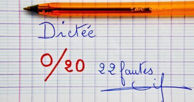 Des dégâts collatéraux : remonter le niveau des ados en orthographe pour le bac et le brevet ?