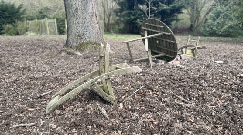 Des opérations destructrices de sangliers à Chaumont-Gistoux bientôt