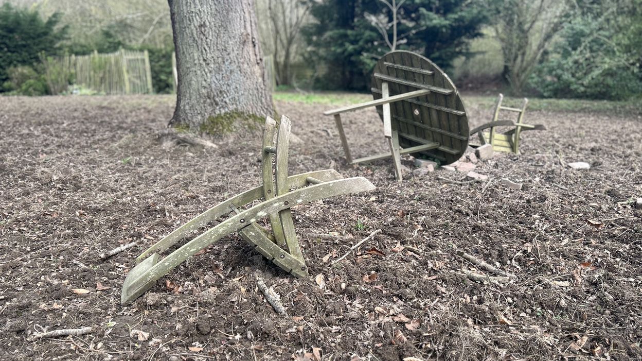 Des opérations destructrices de sangliers à Chaumont-Gistoux bientôt