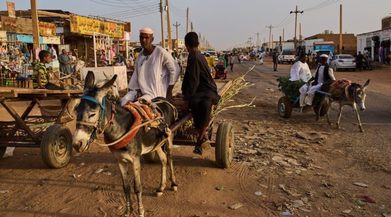 Dix pays, Soudan et Nigeria inclus, comptent deux tiers des affamés.