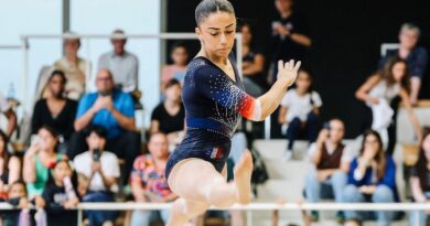 Enquête sur le cyberharcèlement de Djenna Laroui, ex-gymnaste.