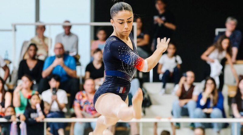 Enquête sur le cyberharcèlement de Djenna Laroui, ex-gymnaste.