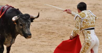 Espagne : Un ancien matador meurt encorné avant une corrida