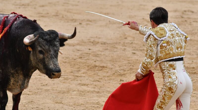 Espagne : Un ancien matador meurt encorné avant une corrida