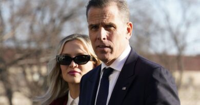 Etats-Unis : Le fils de Joe Biden face aux fils de Trump en « combat en cage »