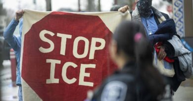Etats-Unis : L’octogénaire française enfermée par l’ICE est « rentrée en France », annonce Barrot