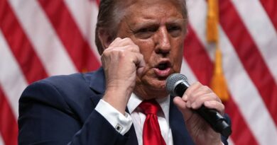 États-Unis : Trump dézingue la droite radicale, « Ils ont un QI bas »