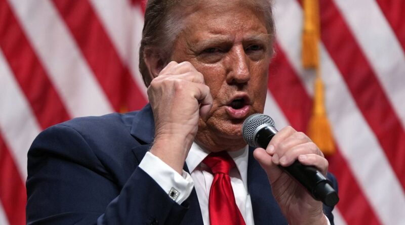 États-Unis : Trump dézingue la droite radicale, « Ils ont un QI bas »