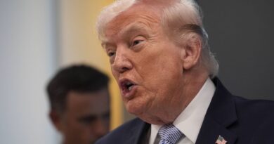 Etats-Unis : Trump s'attaque à l'Otan et vise le Groenland