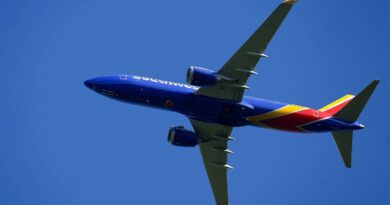 États-Unis : Un pilote assommé, le copilote réussit à atterrir.