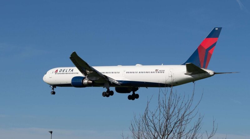 Etats-Unis : Une femme donne naissance en vol, 30 minutes avant l'atterrissage