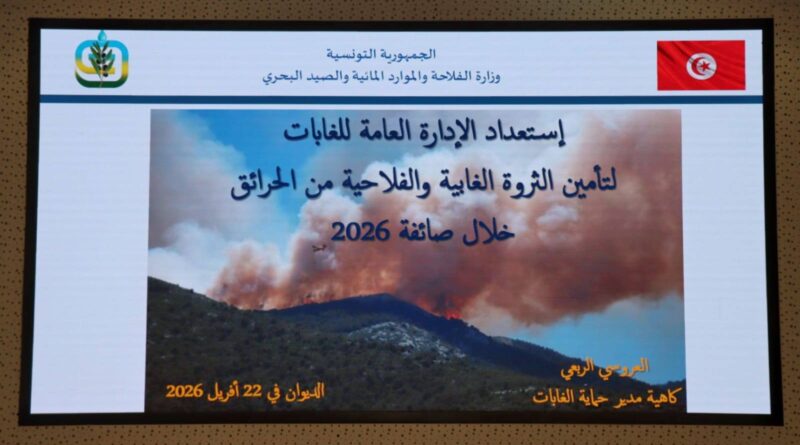 Feux de forêt : lancement d'un plan d'action national avant 2026