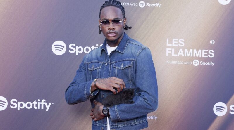 Flammes 2026 : Nono La Grinta sanctionné par la Ligue des animaux avec un chaton