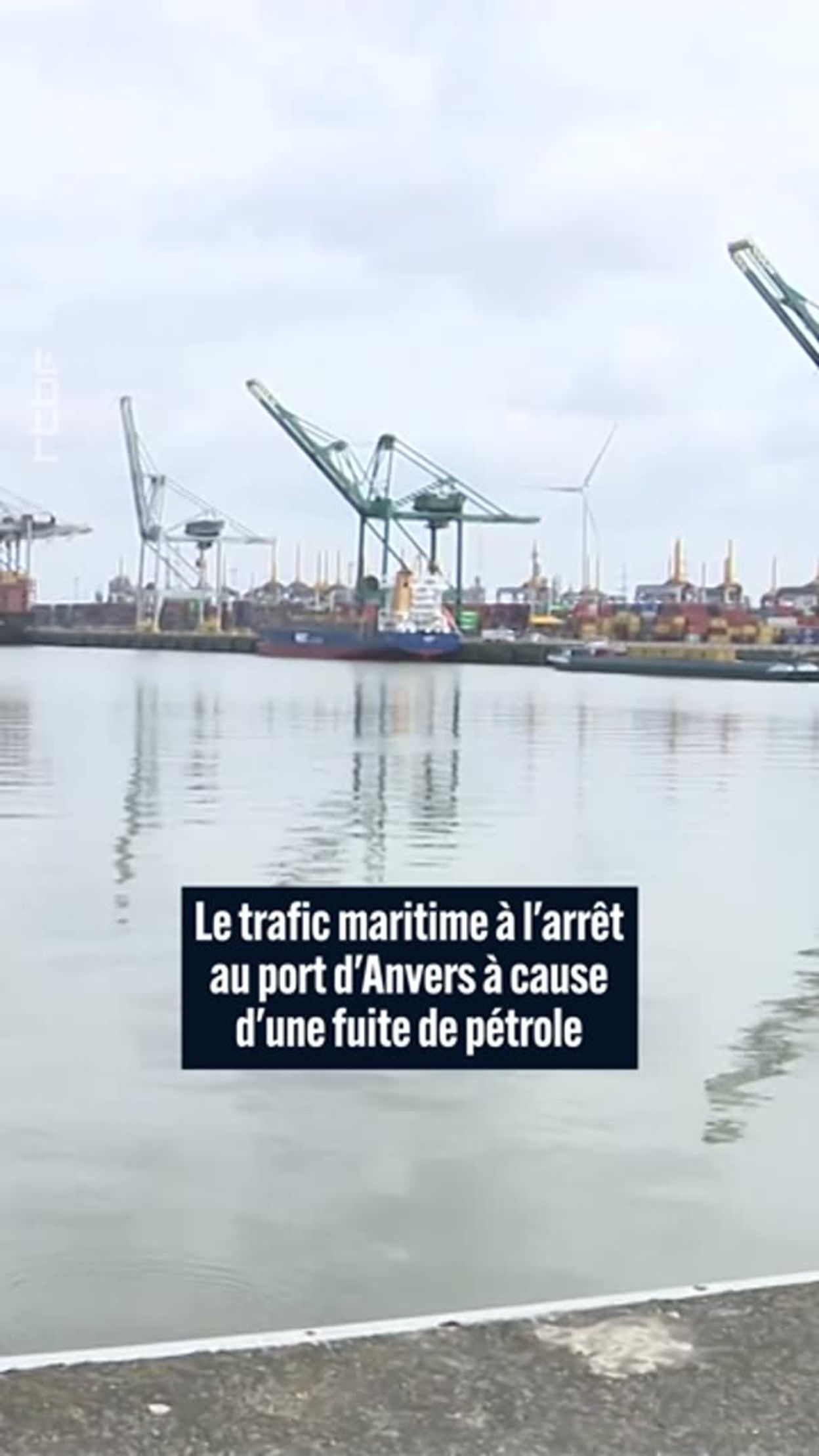 Fuite de pétrole à Anvers : la principale voie d'accès rouvre
