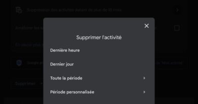 Gemini : méthode pour supprimer l'historique des conversations.