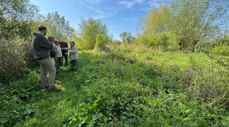 Générations nature : réserves naturelles wallonnes valorisées jusqu'à fin juin.