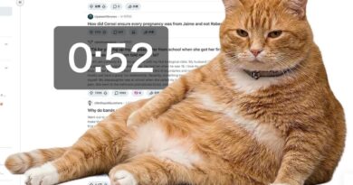 Google Chrome : « Cat Gatekeeper », extension mignonne contre le scroll infini