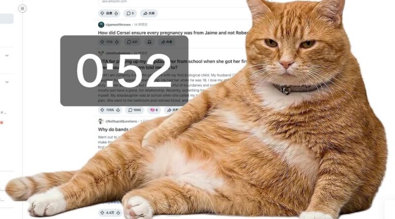 Google Chrome : « Cat Gatekeeper », extension mignonne contre le scroll infini