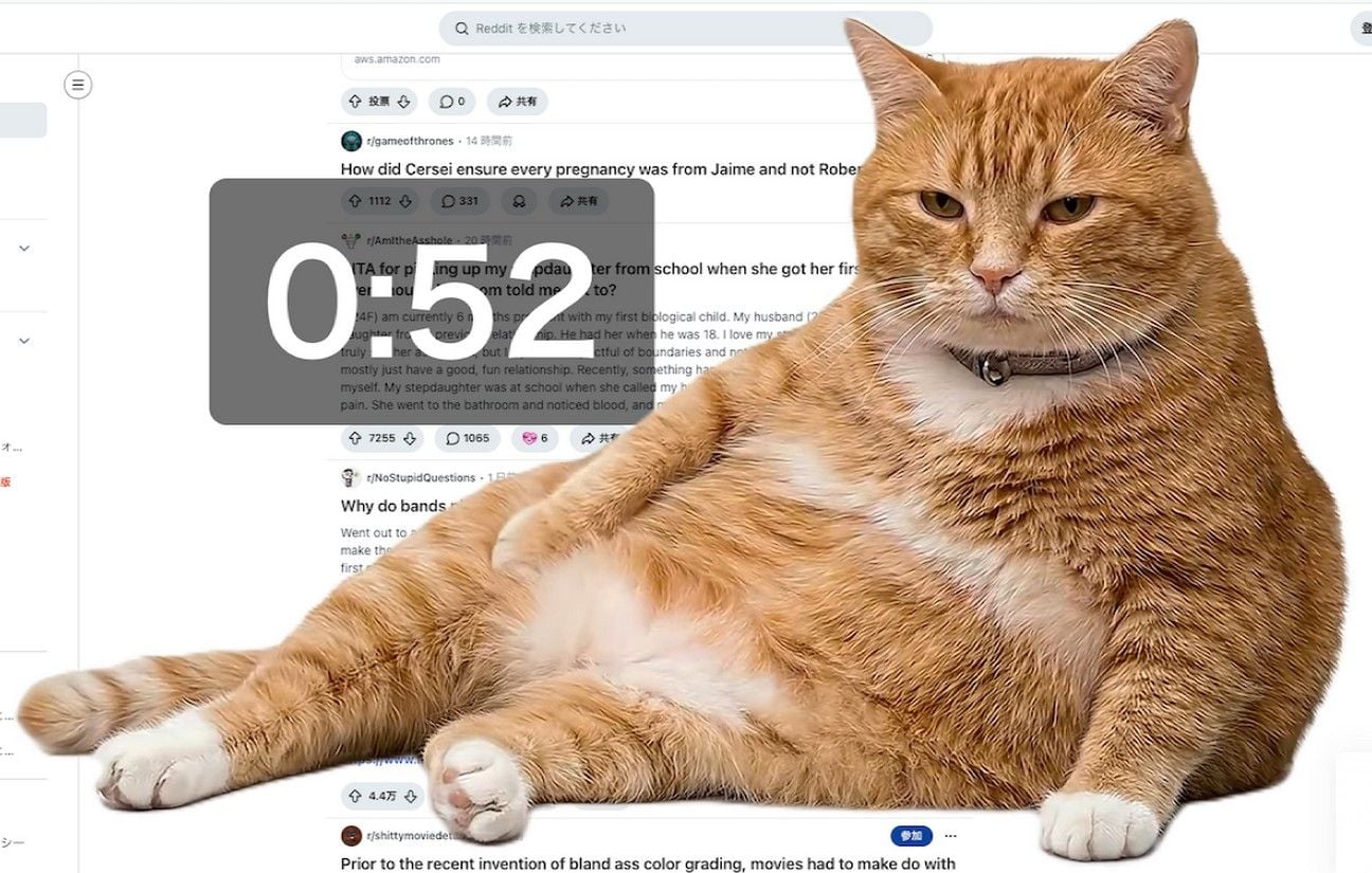 Google Chrome : « Cat Gatekeeper », extension mignonne contre le scroll infini