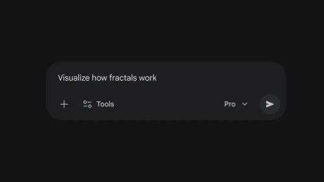 1_Visualize_how_fractals_work.width-1000.format-webp