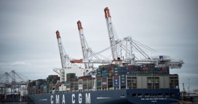 Guerre en Iran : Un porte-conteneurs se revendique français dans le détroit d'Ormuz